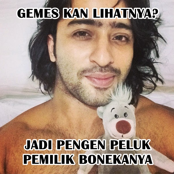 meme shaheer  berbagai sumber meme shaheer  berbagai sumber