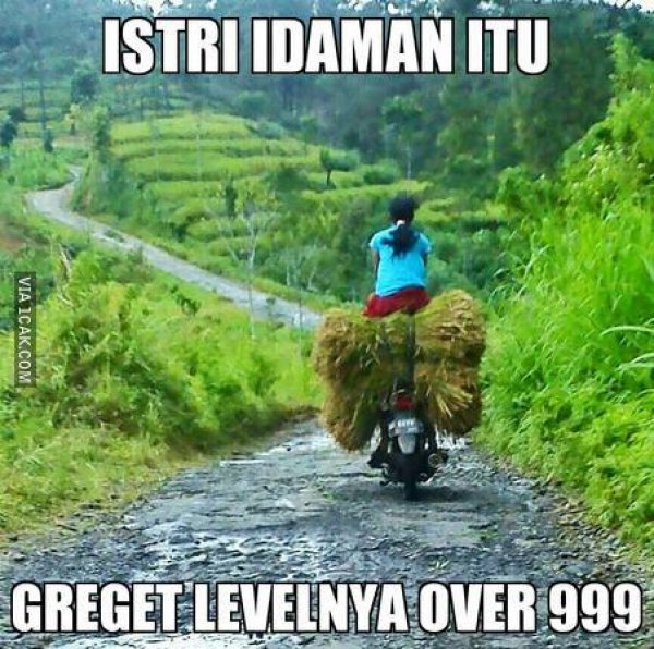 26 Meme tipe istri © 2016 brilio.net