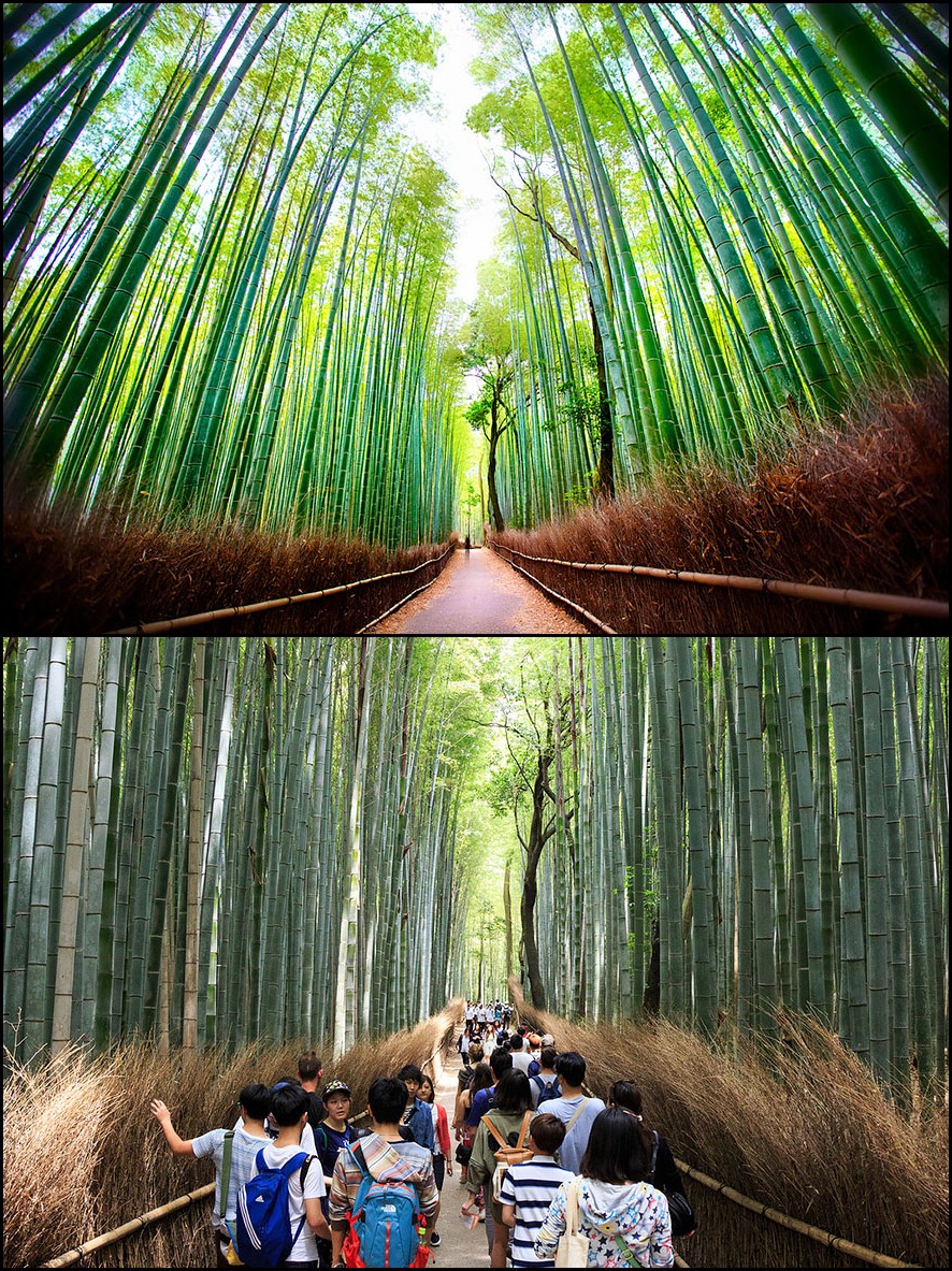 ekspetasi travel © 2016 brilio.net ekspetasi travel © 2016 brilio.net