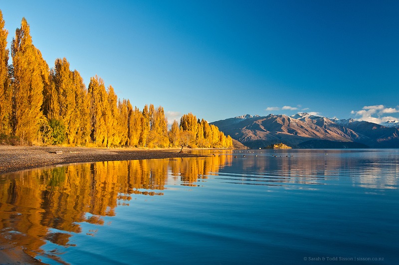 Bungaku © 2016 brilio.net