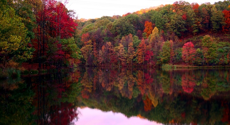 Bungaku © 2016 brilio.net