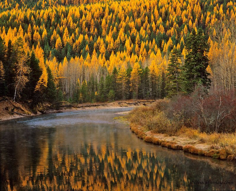 Bungaku © 2016 brilio.net