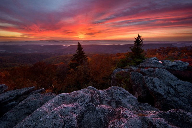 Bungaku © 2016 brilio.net