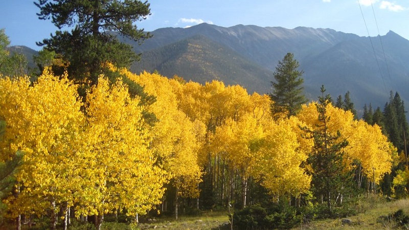 Bungaku © 2016 brilio.net