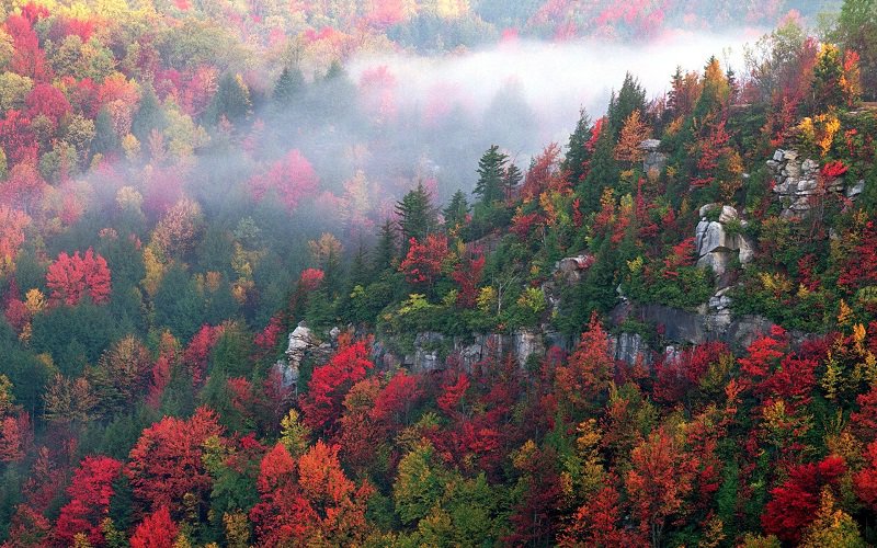 Bungaku © 2016 brilio.net