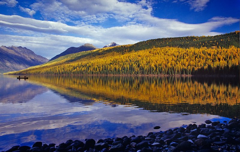 Bungaku © 2016 brilio.net