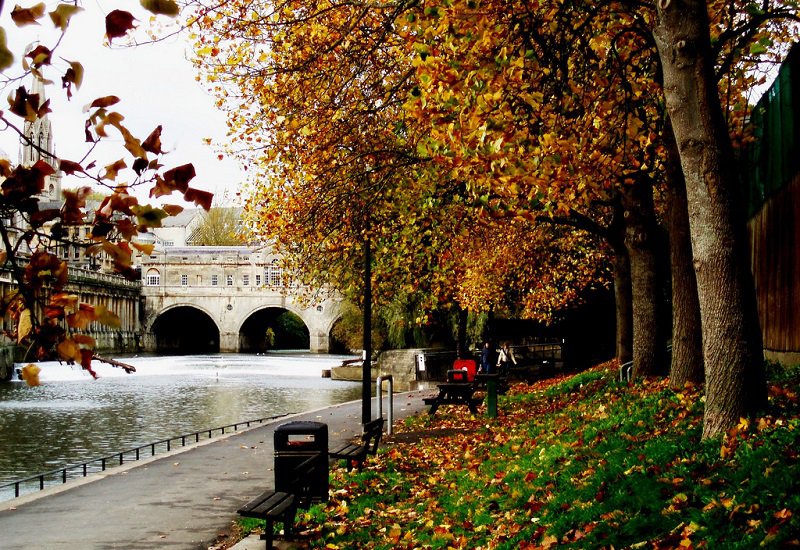 Bungaku © 2016 brilio.net