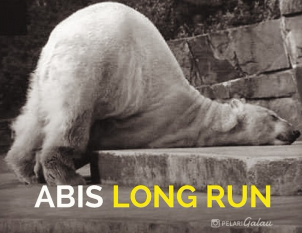 meme lari  © 2016 brilio.net