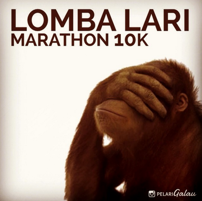 meme lari  © 2016 brilio.net