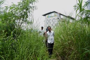 Presiden Jokowi terjang ilalang setinggi orang dewasa, ngapain ya?