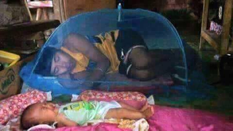 nyleneh bingo  © 2016 brilio.net