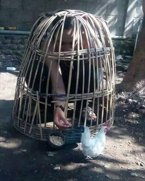 nyleneh bingo  © 2016 brilio.net