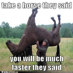 nyleneh bingo  © 2016 brilio.net