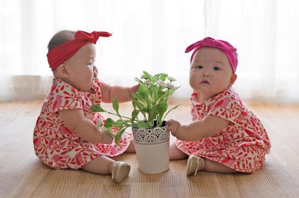 bayi kembar Leia & Lauren © 2016 brilio.net bayi kembar Leia & Lauren © 2016 brilio.net