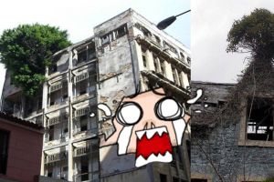 13 Pohon yang hidup di tempat tak biasa ini bikin melongo, ajaib!