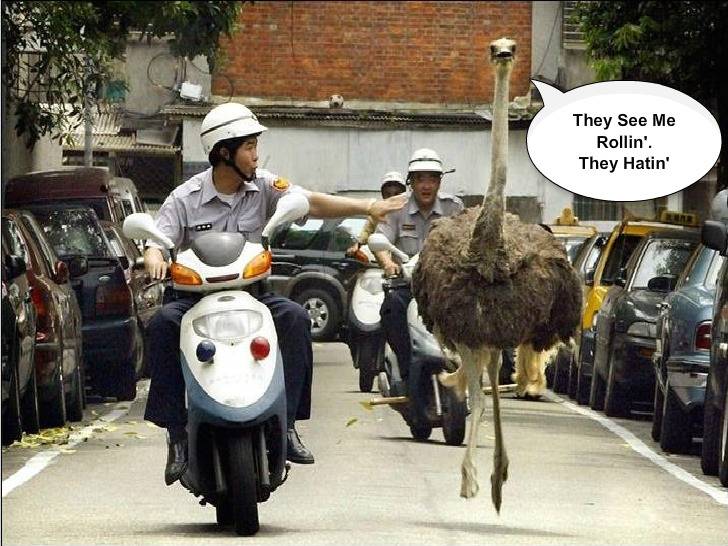 Polisi Konyol Ranker