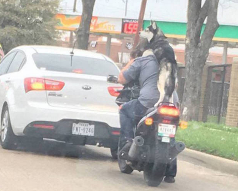 aneh jalanan  © 2016 brilio.net