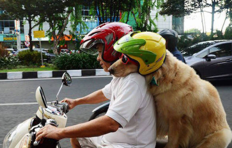 aneh jalanan  © 2016 brilio.net