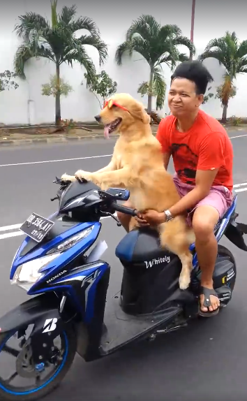 aneh jalanan  © 2016 brilio.net