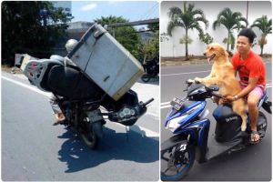 25 Kelakuan aneh di jalanan yang bikin kamu sulit menahan tawa