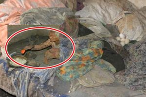 Miris! Nenek tua penjual sapu lidi ini tidur dengan ayam peliharaannya