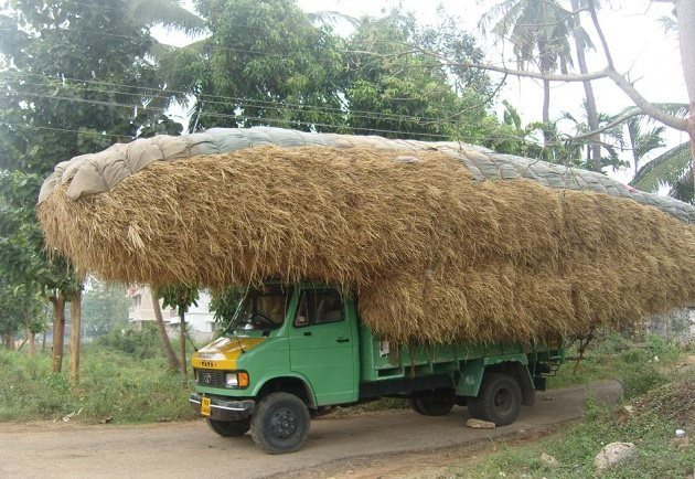 Truk Nekat © 2016 brilio.net