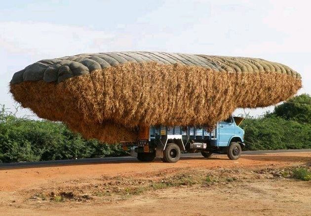 Truk Nekat © 2016 brilio.net