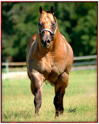 14 hewan kekar  © 2016 brilio.net 14 hewan kekar  © 2016 brilio.net