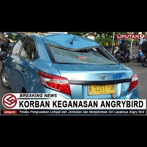 meme blue bird © 2016 brilio.net meme blue bird © 2016 brilio.net