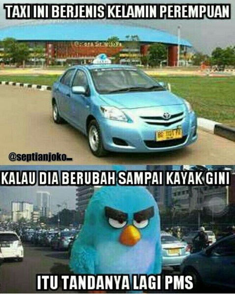 meme blue bird © 2016 brilio.net meme blue bird © 2016 brilio.net