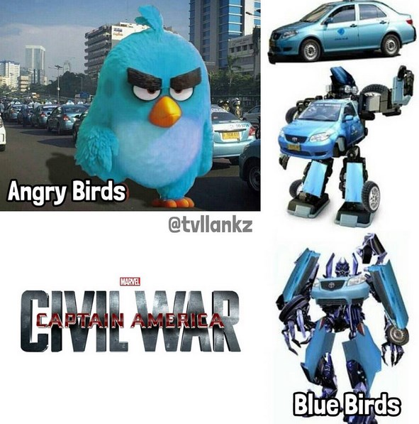 meme blue bird © 2016 brilio.net meme blue bird © 2016 brilio.net