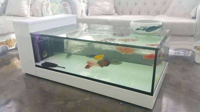 Meja Akuarium © 2016 brilio.net Meja Akuarium © 2016 brilio.net