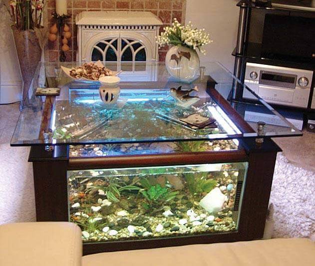 Meja Akuarium © 2016 brilio.net Meja Akuarium © 2016 brilio.net