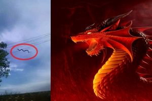 Warga geger, 'naga terbang' melayang-layang di langit Bali