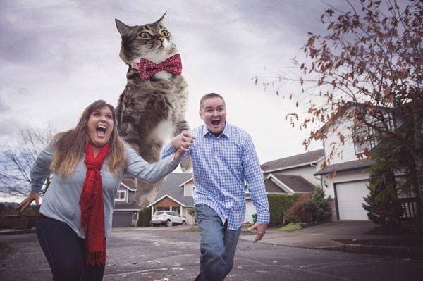 Foto tunangan konyol  http://www.ranker.com/