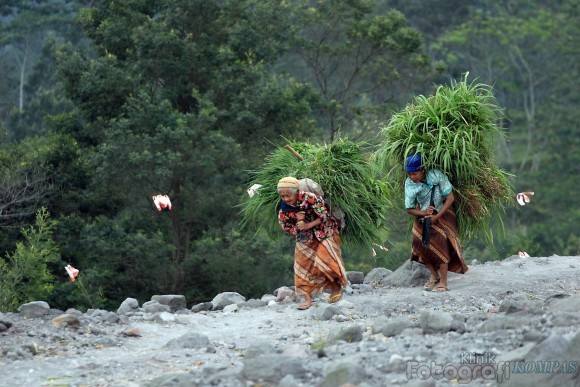 Lansia Keren © 2016 brilio.net