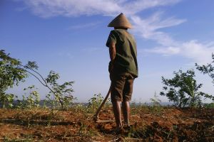 7 Sebab tak terduga kenapa lansia masih punya etos kerja luar biasa