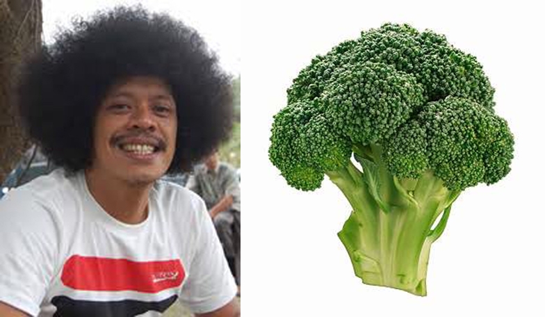 nama artis makanan berbagai sumber