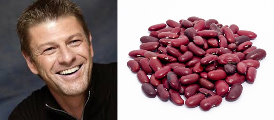 nama artis makanan berbagai sumber