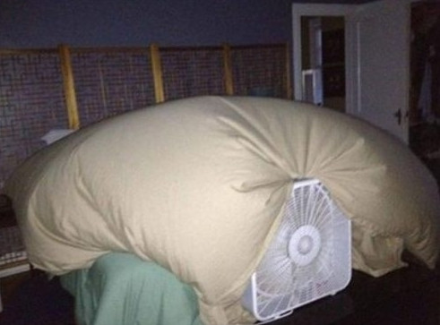 ayah tidak ribet  Diply