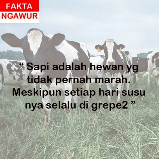 fakta ngawur  © 2016 brilio.net fakta ngawur  © 2016 brilio.net