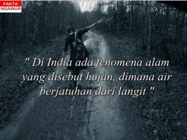 fakta ngawur  © 2016 brilio.net fakta ngawur  © 2016 brilio.net