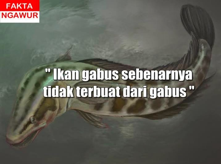 fakta ngawur  © 2016 brilio.net fakta ngawur  © 2016 brilio.net