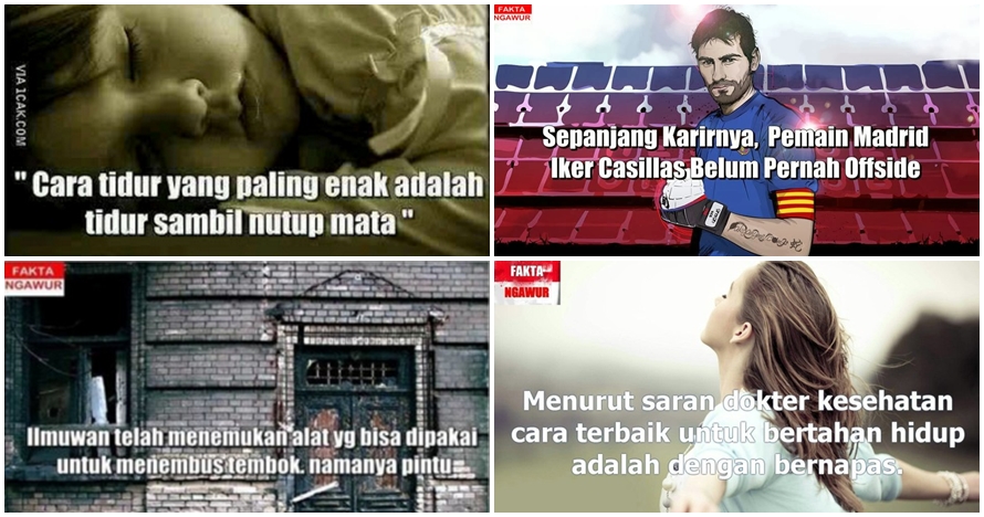 30 Meme fakta ngawur yang membuatmu  senyum lalu ketawa ha,ha,ha...