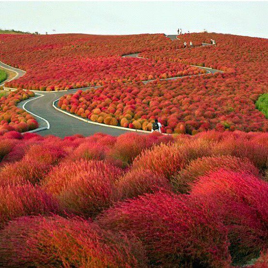 lokasi bumi aneh  © 2016 brilio.net