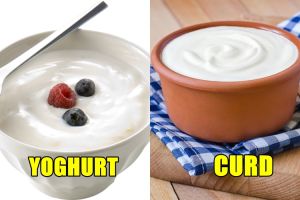 Kenali 'saudara' yoghurt,  tahu susu yang nggak kalah kaya nutrisi