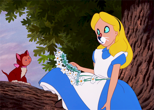 Disney Faceswap  Diply