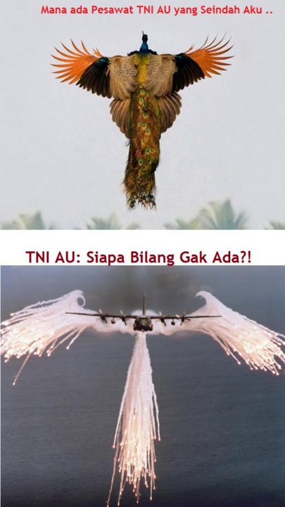 meme tniau © 2016 brilio.net