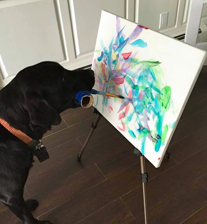 Dog Vinci, anjing asal New York  jago melukis hingga hasilkan uang!  