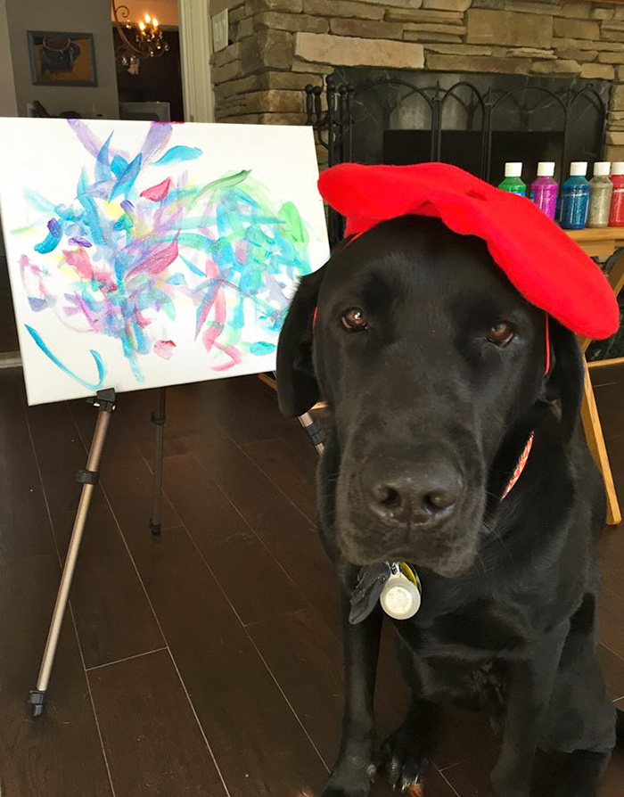 Dog Vinci, anjing asal New York  jago melukis hingga hasilkan uang!  